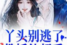 求助这本丫头别逃了！教授他超爱小说在哪里可以看完结版-荏苒文学