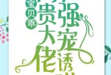 宝贝乖：高贵大佬在强宠诱哄大结局， 简以宁陆怀瑾小说无广告阅读-荏苒文学