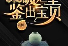 震惊!我能从破烂里鉴出宝贝!免费阅读,陆飞大结局无弹窗-荏苒文学
