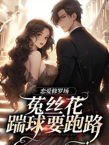 小说恋爱修罗场：菟丝花踹球要跑路（黎初夏沈斯仁）最新章节在哪看