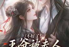 跪求主角是叶流西穆景川的小说书名叫什么-荏苒文学