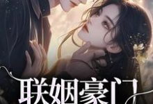沈心姿陆仲廷小说免费阅读最新章节列表,联姻豪门继承人后,我逃婚了!小说在线看-荏苒文学