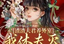 精彩章节阅读渣渣夫君养外室，我休夫灭妾另高嫁(萧时衍叶宛卿)免费小说在线看-荏苒文学