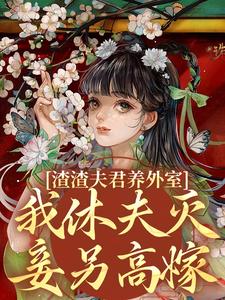 渣渣夫君养外室，我休夫灭妾另高嫁（叶宛卿萧时衍）最新章节在线阅读