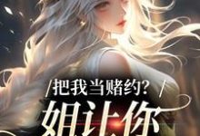 (全文)把我当赌约?姐让你跪地求饶贺南序周初黎小说推荐,把我当赌约?姐让你跪地求饶全章小说阅读-荏苒文学