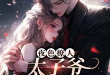 夜色撩人,太子爷为她乱了心热门小说排行榜夜色撩人,太子爷为她乱了心楚璃徐砚周免费小说全本-荏苒文学