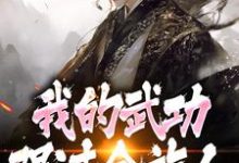 (全文)完了！我的武功强过全族人（林枫苏清雪）全本书籍阅读完了！我的武功强过全族人免费小说全本-荏苒文学