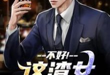 (全文)不好！这渣女要虐死了顾迟云云晚晚最新完结小说不好！这渣女要虐死了免费小说全本-荏苒文学