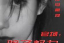 官场:除了权力还有啥(丁俊丰贺征)小说推荐官场:除了权力还有啥全章小说阅读-荏苒文学