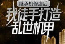 继承机修店后,我徒手打造乱世机甲热门小说排行榜继承机修店后,我徒手打造乱世机甲苏白苏南天免费小说全本-荏苒文学