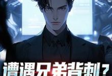 (全文)遭遇兄弟背刺？我直接去偷家（秦东骆小蝶）全本书籍阅读遭遇兄弟背刺？我直接去偷家免费小说全本-荏苒文学
