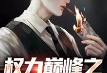权力巅峰之红色仕途（张文定）小说推荐权力巅峰之红色仕途全章小说阅读-荏苒文学