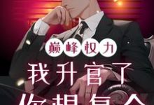 (全文)巅峰权力：我升官了你想复合(林磊)全本免费在线阅读-荏苒文学