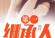第一继承人徐飞完结小说推荐第一继承人全本书籍阅读-荏苒文学