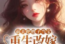 (全文)前夫把嫂子当宝,重生改嫁不原谅(夏晚晴)全本书籍阅读前夫把嫂子当宝,重生改嫁不原谅免费小说全本-荏苒文学