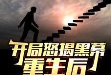 开局怒揭黑幕，重生后整顿官场完整版小说，开局怒揭黑幕，重生后整顿官场陈知行试读更新章节-荏苒文学