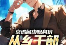 (全文)京城名少隐身份，从乡干部开始逆袭（谢斌裴靖泽）试读更新章节京城名少隐身份，从乡干部开始逆袭免费小说-荏苒文学