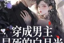 穿成男主早死的白月光？我不干了谢观砚林茉免费小说穿成男主早死的白月光？我不干了推荐完结小说-荏苒文学