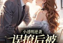 误撩后被大佬宠上天（许惟昭方肃礼）全本书籍阅读误撩后被大佬宠上天完整版小说-荏苒文学