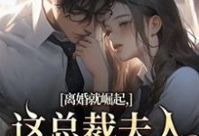 离婚就崛起,这总裁夫人她不做了热门小说排行榜离婚就崛起,这总裁夫人她不做了苏心瑶南羽陌免费小说全本-荏苒文学