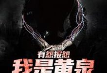 有怨报怨，我是黄泉摆渡人推荐完结小说有怨报怨，我是黄泉摆渡人(云渺)免费小说全本-荏苒文学