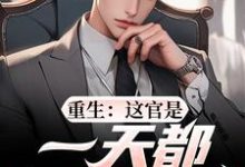 重生：这官是一天都不想当了梁惟石唐欣怡完结小说推荐，重生：这官是一天都不想当了全章小说阅读-荏苒文学
