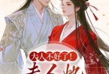 (全文)大人不好了!夫人她名动京城了(姜宁芷沈鹤书)全本免费在线阅读-荏苒文学