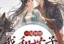 一见钟情，我和世子天生一对（沈如风苏云锦）小说推荐一见钟情，我和世子天生一对全章小说阅读-荏苒文学