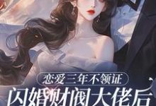 恋爱三年不领证，闪婚财阀大佬后他急疯（苏婠周衍焱）全本书籍阅读恋爱三年不领证，闪婚财阀大佬后他急疯完整版小说-荏苒文学