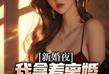 新婚夜，我拿着离婚协议黯然离场热门小说排行榜新婚夜，我拿着离婚协议黯然离场叶修远白若雪免费小说全本-荏苒文学