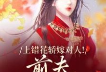 上错花轿嫁对人!前夫追悔莫及萧念窈陆奉行热门小说排行榜上错花轿嫁对人!前夫追悔莫及免费小说-荏苒文学