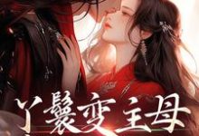 丫鬟变主母，贵少他超爱南珠沈燕白热门小说排行榜丫鬟变主母，贵少他超爱免费小说-荏苒文学
