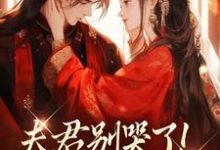 夫君别哭了！我来替你虐渣（沈婉宁韩云泽）小说推荐夫君别哭了！我来替你虐渣全章小说阅读-荏苒文学