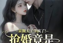 (全文)京圈太子爷疯了！抢婚竟是蓄谋已久陆妄辞虞晚颜最新完结小说京圈太子爷疯了！抢婚竟是蓄谋已久免费小说全本-荏苒文学