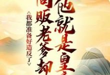 (全文)我都准备好造反了，商贩老爹却说他就是皇帝？完结小说推荐嬴政赵牧全本书籍阅读-荏苒文学