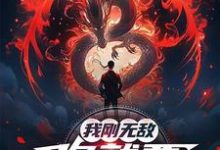 我刚无敌，你就要跟我退婚？热门小说排行榜我刚无敌，你就要跟我退婚？苏阳免费小说全本-荏苒文学
