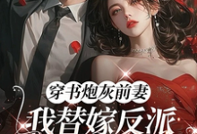 (全文)穿书炮灰前妻,我替嫁反派成团宠(萧著)全本免费在线阅读-荏苒文学