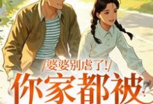 (全文)婆婆别虐了!你家都被偷光了(苏圆圆)全本免费在线阅读-荏苒文学