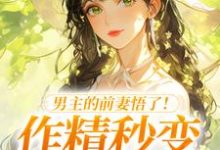 (全文)男主的前妻悟了！作精秒变粘人精许岁宁霍青山最新完结小说男主的前妻悟了！作精秒变粘人精免费阅读-荏苒文学