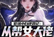 (全文)官场小白逆袭记:从帮女大佬开始(唐诚李文静)免费小说官场小白逆袭记:从帮女大佬开始试读更新章节-荏苒文学
