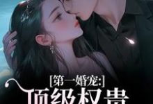 (全文)第一婚宠:顶级权贵追妻火葬场(叶惊兰薄戎淮)全本书籍阅读第一婚宠:顶级权贵追妻火葬场免费小说全本-荏苒文学