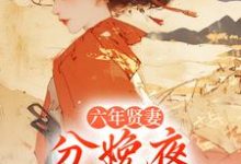 六年贤妻，分娩夜心死换和离姜玉筝沈宴沉热门小说排行榜六年贤妻，分娩夜心死换和离免费小说-荏苒文学