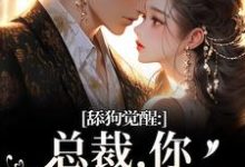 舔狗觉醒:总裁,你只是个替身许瑾禾裴景之热门小说排行榜舔狗觉醒:总裁,你只是个替身免费小说-荏苒文学