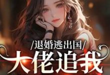(全文)退婚逃出国,大佬追我满世界跑热门小说排行榜,退婚逃出国,大佬追我满世界跑江野崎楚灵兮全章小说阅读-荏苒文学