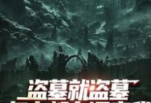 盗墓就盗墓，怎么都在调查我最新章节阅读盗墓就盗墓，怎么都在调查我(吴邪白小白)试读更新章节-荏苒文学