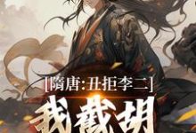 (全文)隋唐：丑拒李二，我截胡众枭雄李渊吴缺全本免费在线阅读-荏苒文学