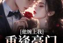 重逢豪门继承人：他缠上我最新章节阅读重逢豪门继承人：他缠上我(孟婉笛穆瑾洲)试读更新章节-荏苒文学
