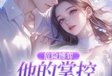 危险博弈：他的掌控与她的反杀推荐完结小说，危险博弈：他的掌控与她的反杀叶时欢免费小说全本-荏苒文学