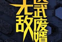 无敌医武废婿推荐完结小说,无敌医武废婿秦铭免费小说全本-荏苒文学