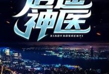 逍遥神医（陈九阳）全章小说阅读-荏苒文学